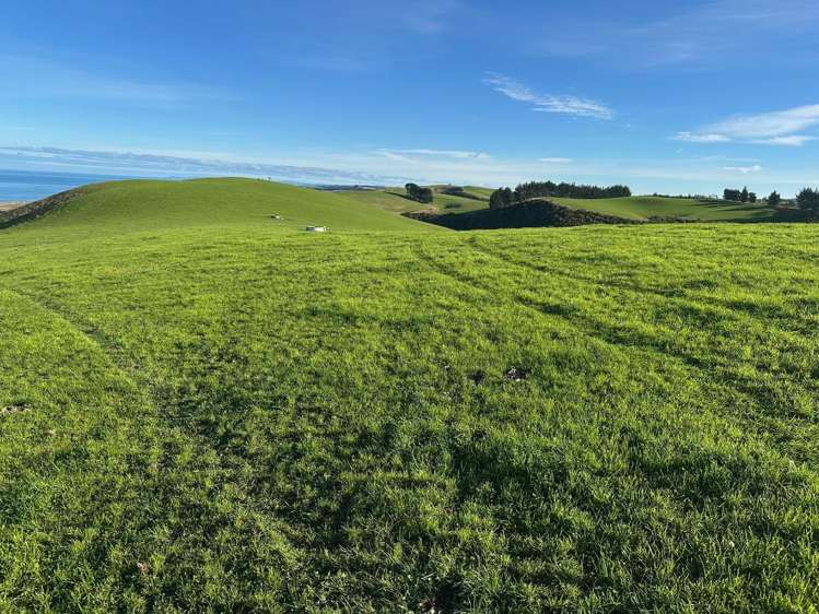 46 Clarkes Road, Glenledi Milton_13