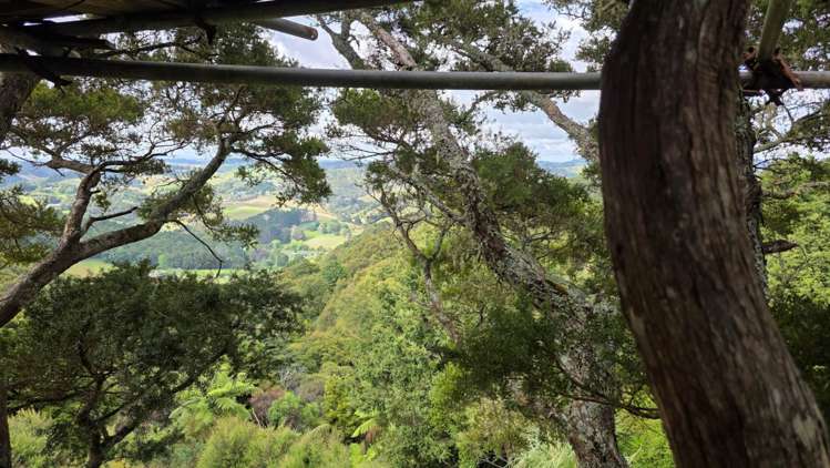 180 Noakes Road Puhoi_38