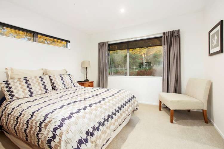 173 Top Road Dairy Flat_10