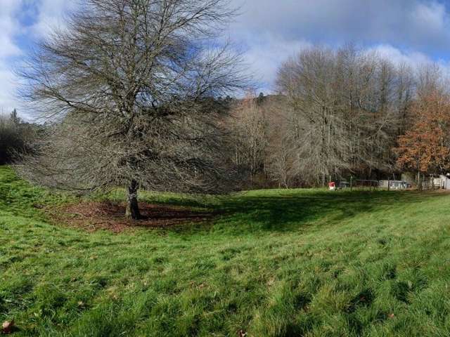 763 Paradise Valley Road Ngongotaha Valley_3