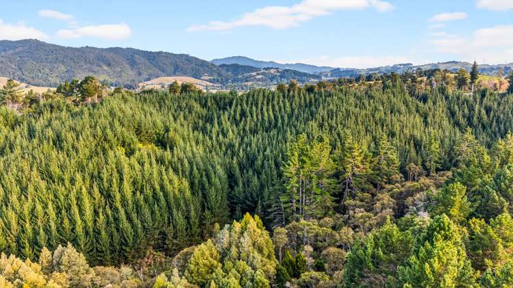 2552 Hunua Road Hunua_4