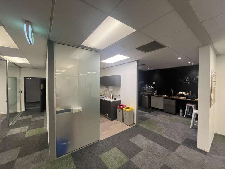 5 Wilkins Street Freemans Bay_6