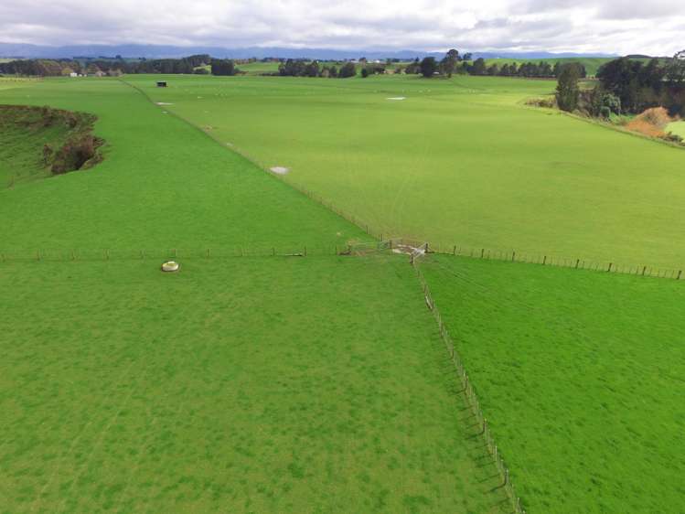 63 Hamilton Road Dannevirke_30