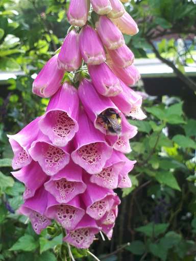 121 Wainuiomata Road_4