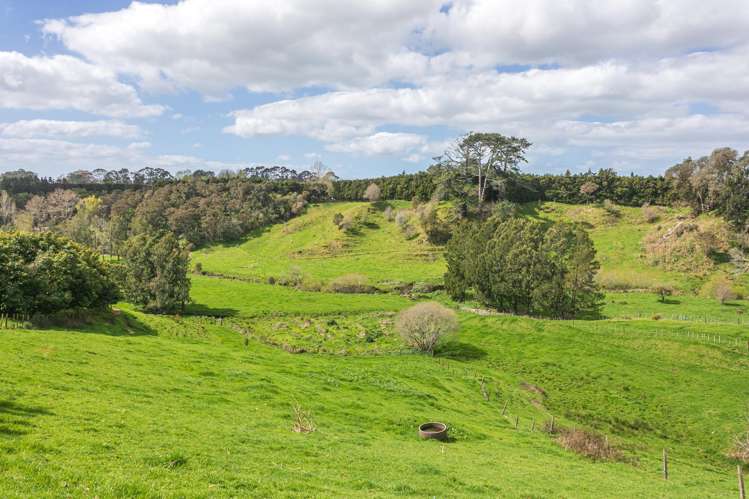 231 Walford Road Aongatete_42