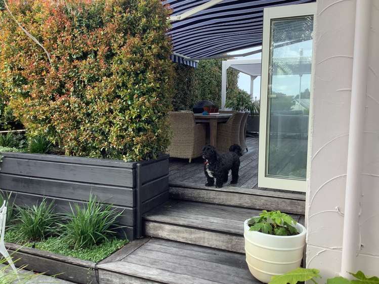 48b Golf Road Mount Maunganui_6