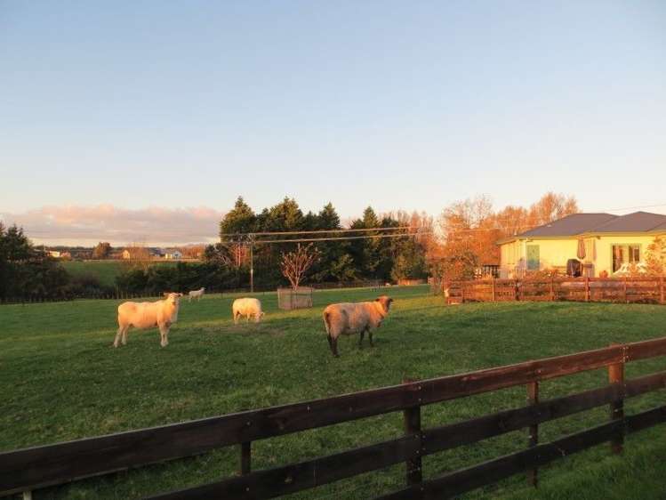 55a Parrs Road Bunnythorpe_23