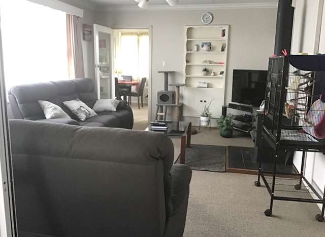 34 Bathurst Street Allenton_4