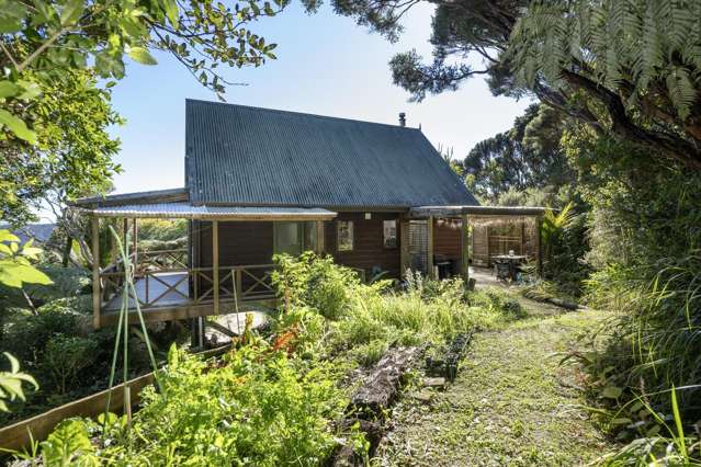 165 Lone Kauri Road Karekare_3