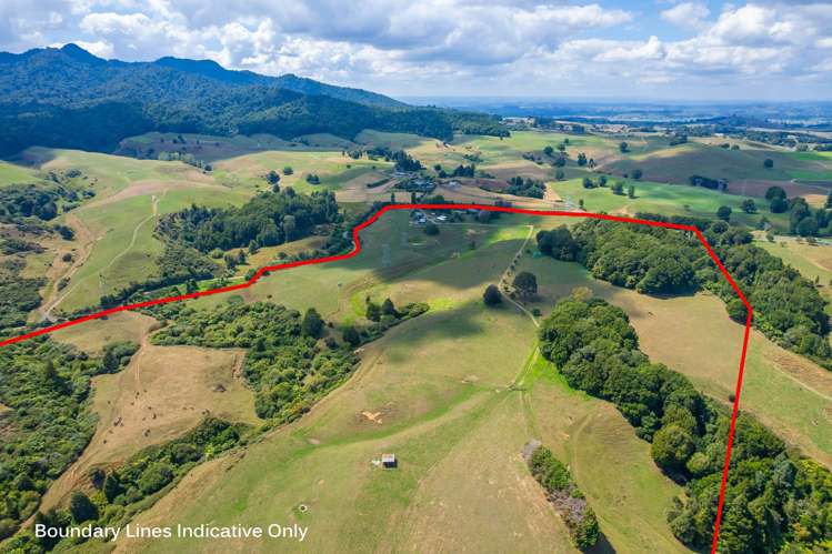 223 Maru Road Pukeatua_9
