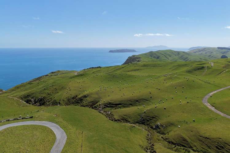 309 - 317 Boomrock Road Ohariu_6