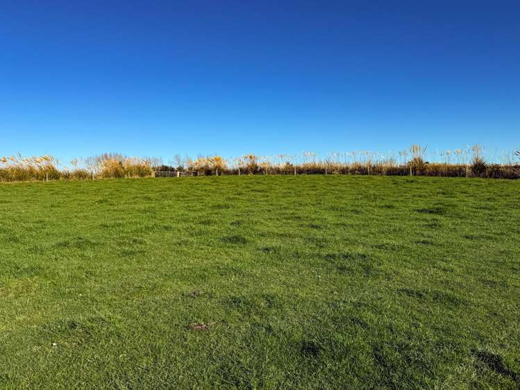 379 Waikaka Road Maitland_18