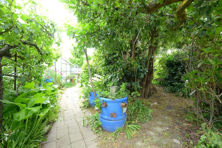 44 Good Street Rangiora_7