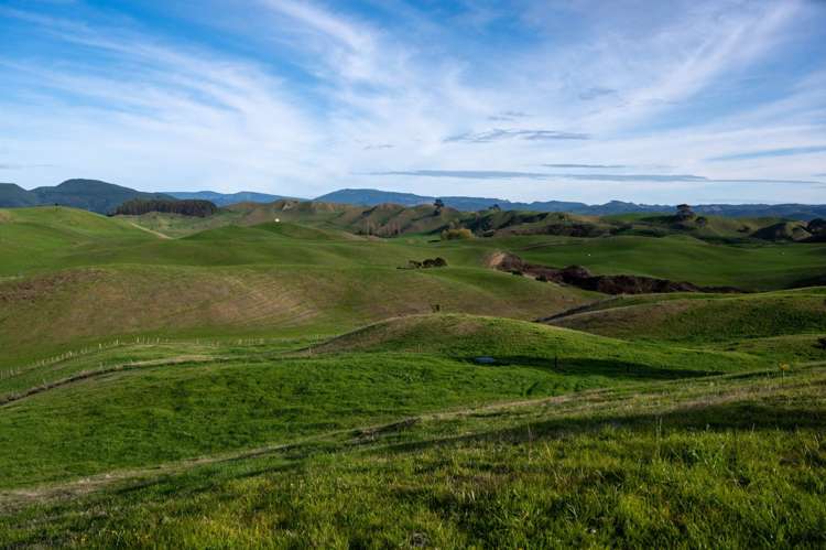 617 Dunkirk Road Atiamuri_28