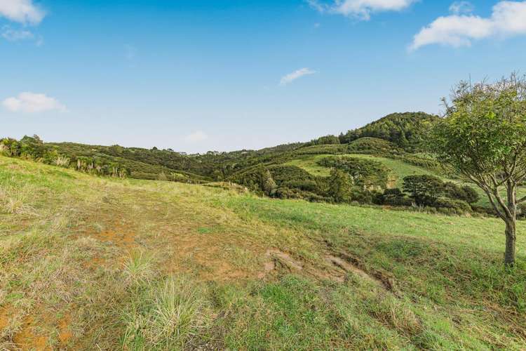 88 Waere Valley Lane Warkworth_18