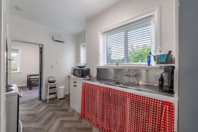 378 Tweed Street Georgetown_2