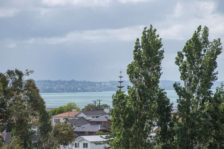 29 Tarawera Terrace Saint Heliers_1