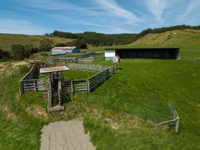 1584 Tadmor-Glenhope Road Tapawera_2