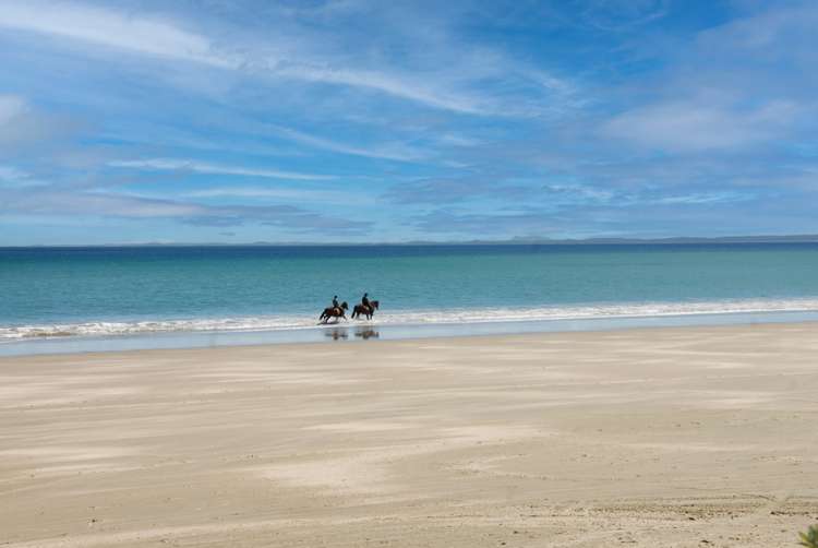 498 West Coast Road Awanui_26