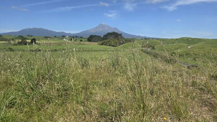 . Opourapa Road Rahotu_14