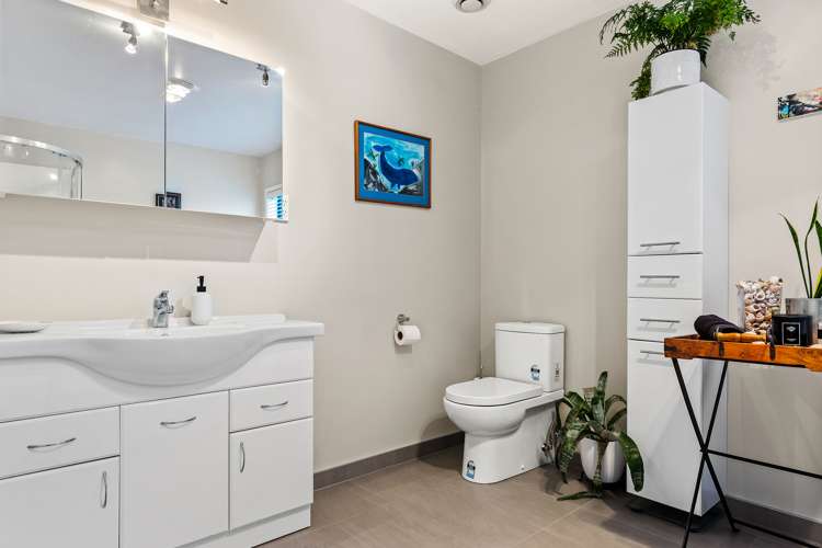 169 Mchughs Road Swannanoa_10