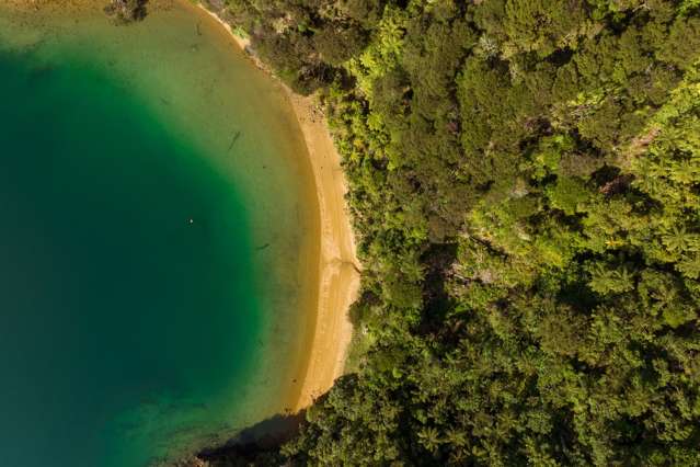 Cherry Bay, Ruakaka Bay Marlborough Sounds_1