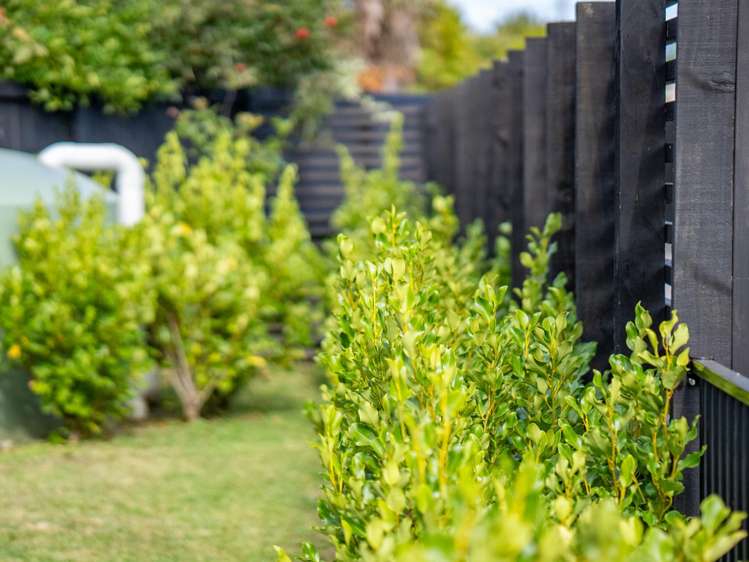 5/9 Beverley Crescent Hillcrest_20