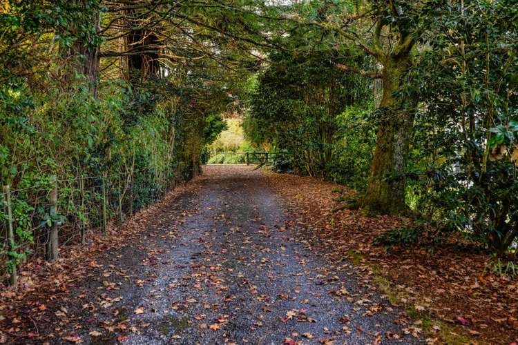 20 Remuera Settlement Road Ohaeawai_26