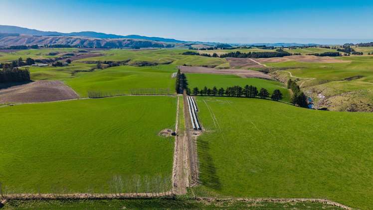 467 Waihaorunga Back Road Waimate_1