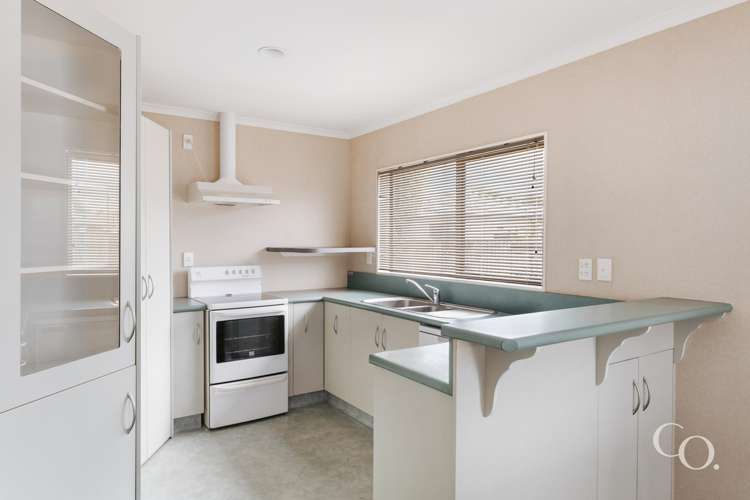 37 Solomon Street Brookfield_7