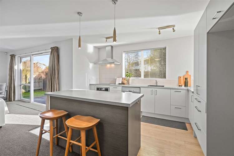 21 Dominion Avenue Spreydon_5