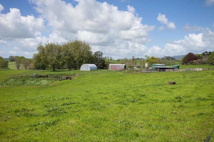 80 Paratu Road Richmond Downs_5