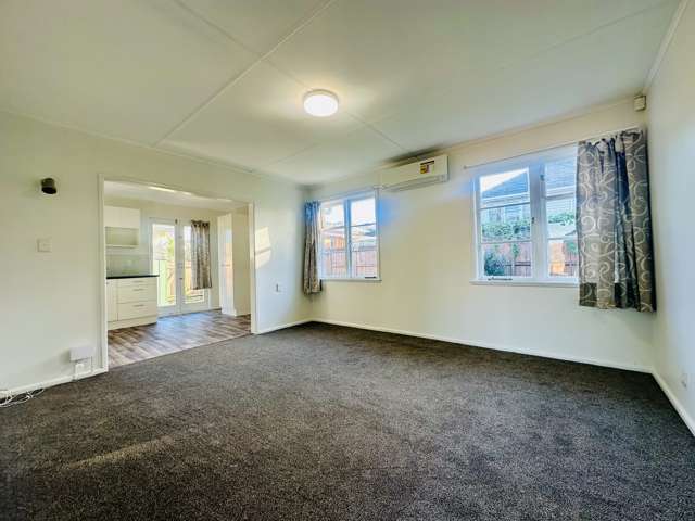 25 Morrie Laing Ave Mount Roskill_1