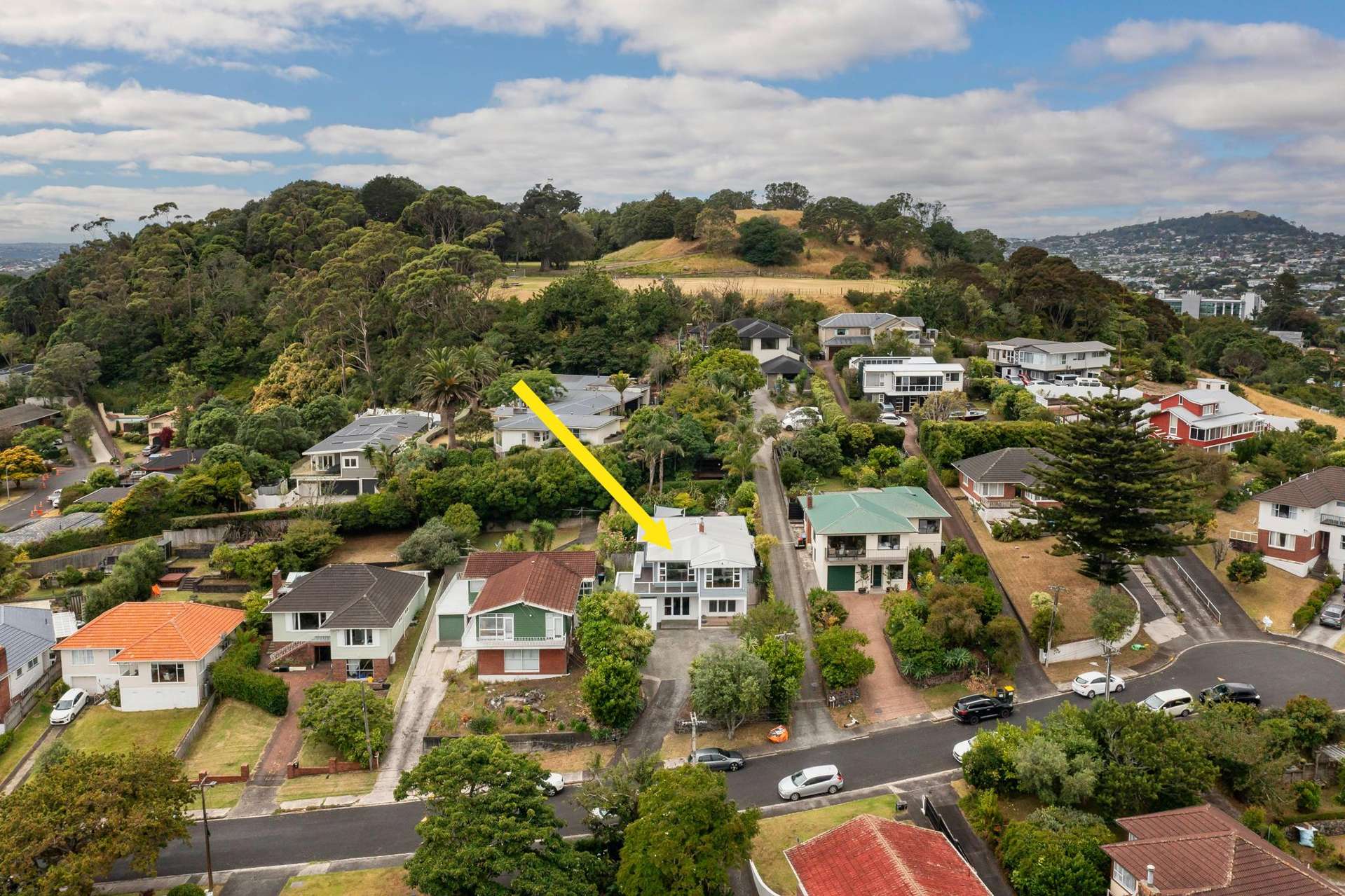 12 Pickens Crescent Mount Albert_0