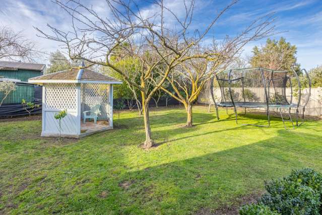 802 Albert Street Parkvale_2