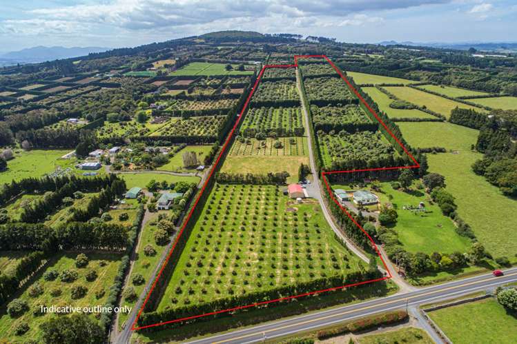 1700 State Highway 14 Maungatapere_1