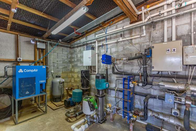 2 Gilberd Street Castlecliff_31