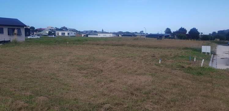 Reel Road Waihi Beach_2