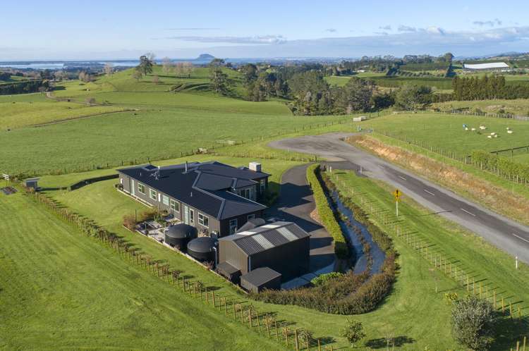 321 Ross Road Whakamarama_16