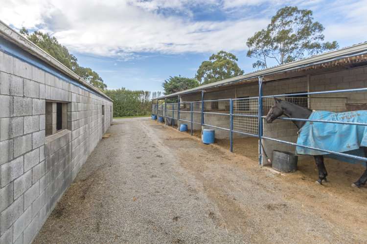 159 Larcombs Road Rolleston_12