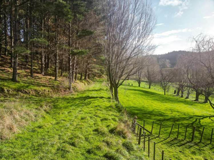 Kaukatea Valley Road_5