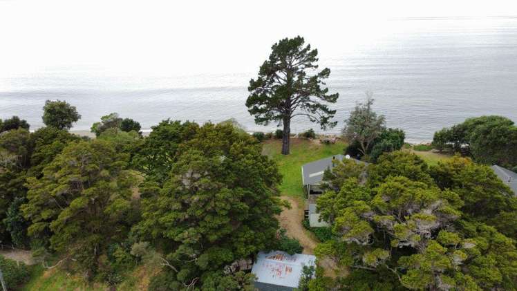 23 Totara Avenue Collingwood_6