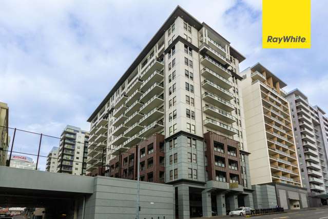 Sophisticated Studio - On Sale !