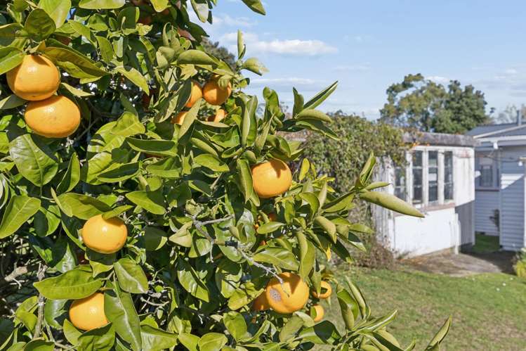19 Eccles Avenue Te Kauwhata_50