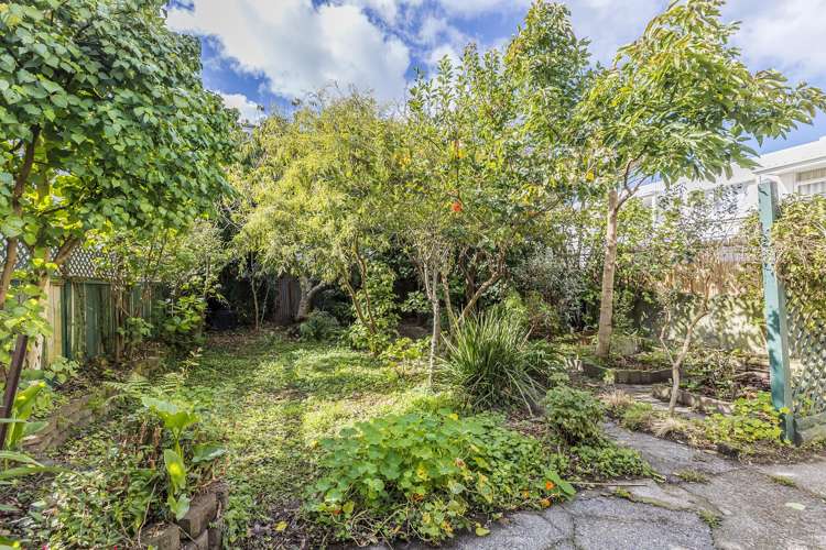 491 Adelaide Road Berhampore_18