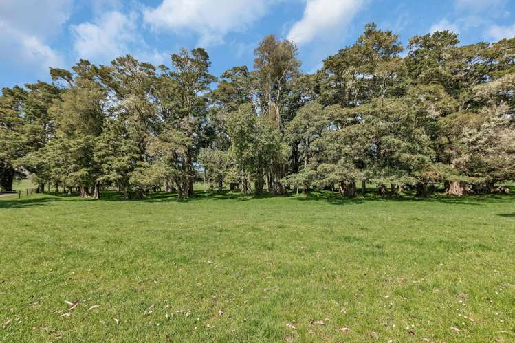 90 Mckinley Road Kokopu_46