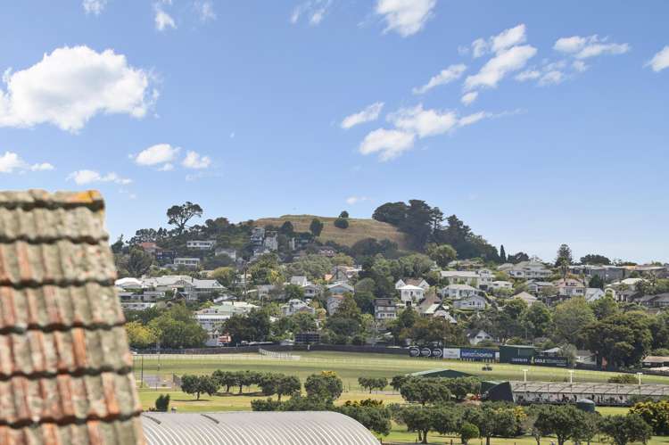 134a Ladies Mile Ellerslie_20