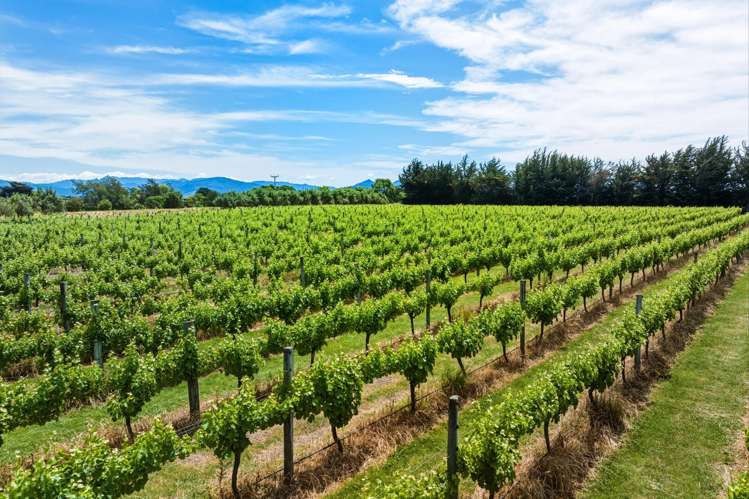 686 Dillons Point Road Blenheim_16