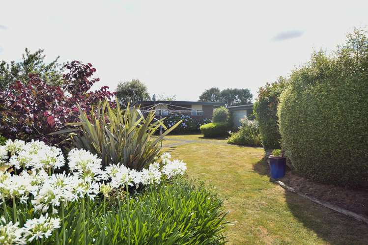 1 Philip Street Carterton_17