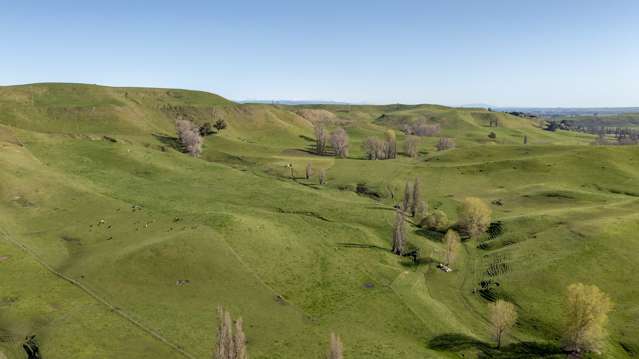 71 Pukeora Scenic Road Hawkes Bay_2